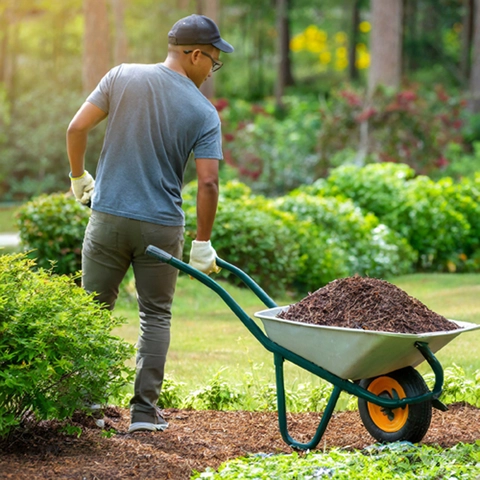 Man holding a wheel with Compost by the Wheelbarrow