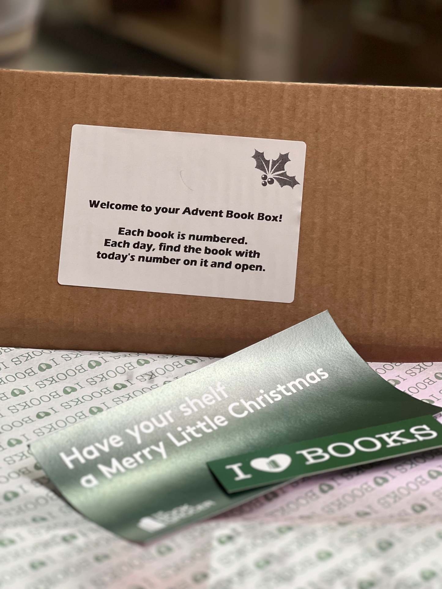 Advent - Board Book Box 2024