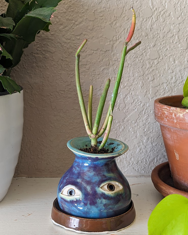 Crying Pots