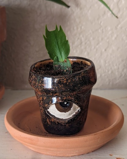 Crying Pots
