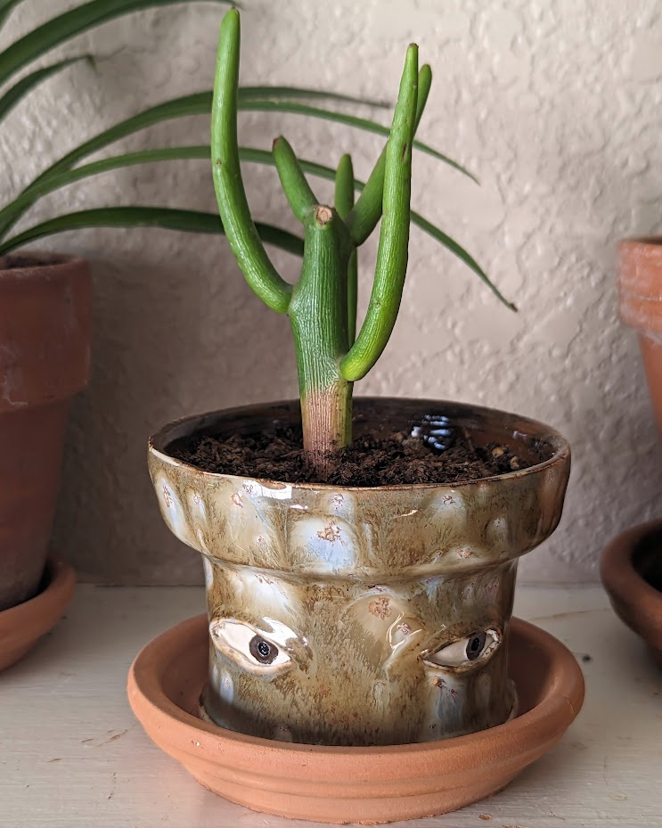 Crying Pots