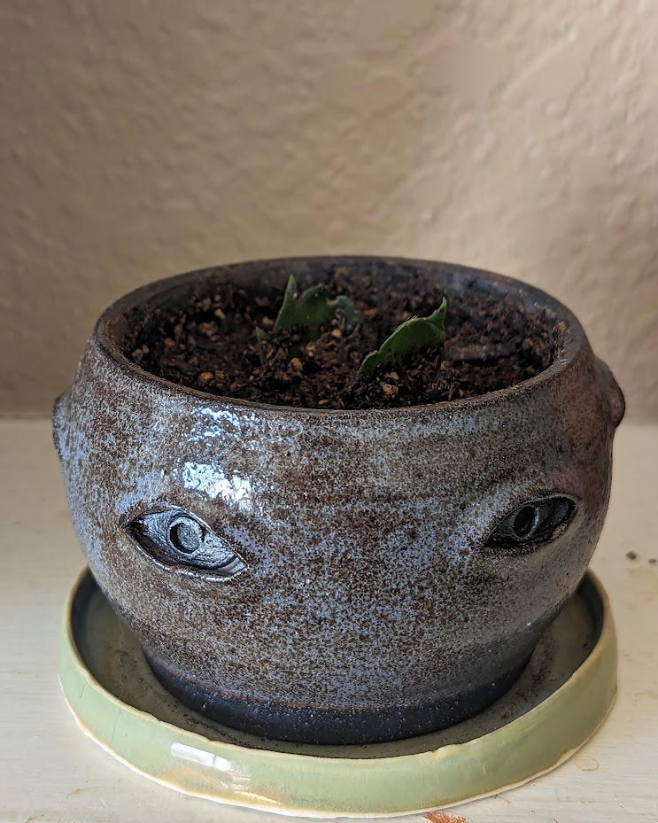 Crying Pots