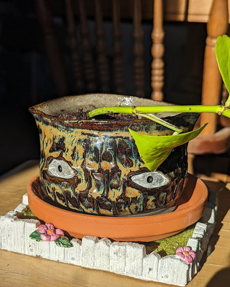 Crying Pots