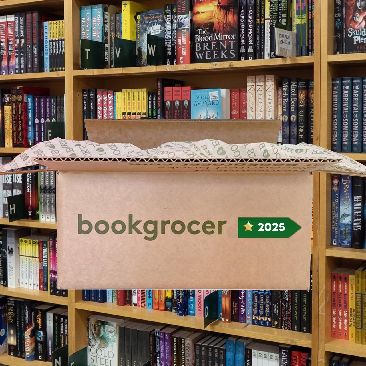 The 12-Book Journey - Historical Fictithton Bothtok Box 2025
