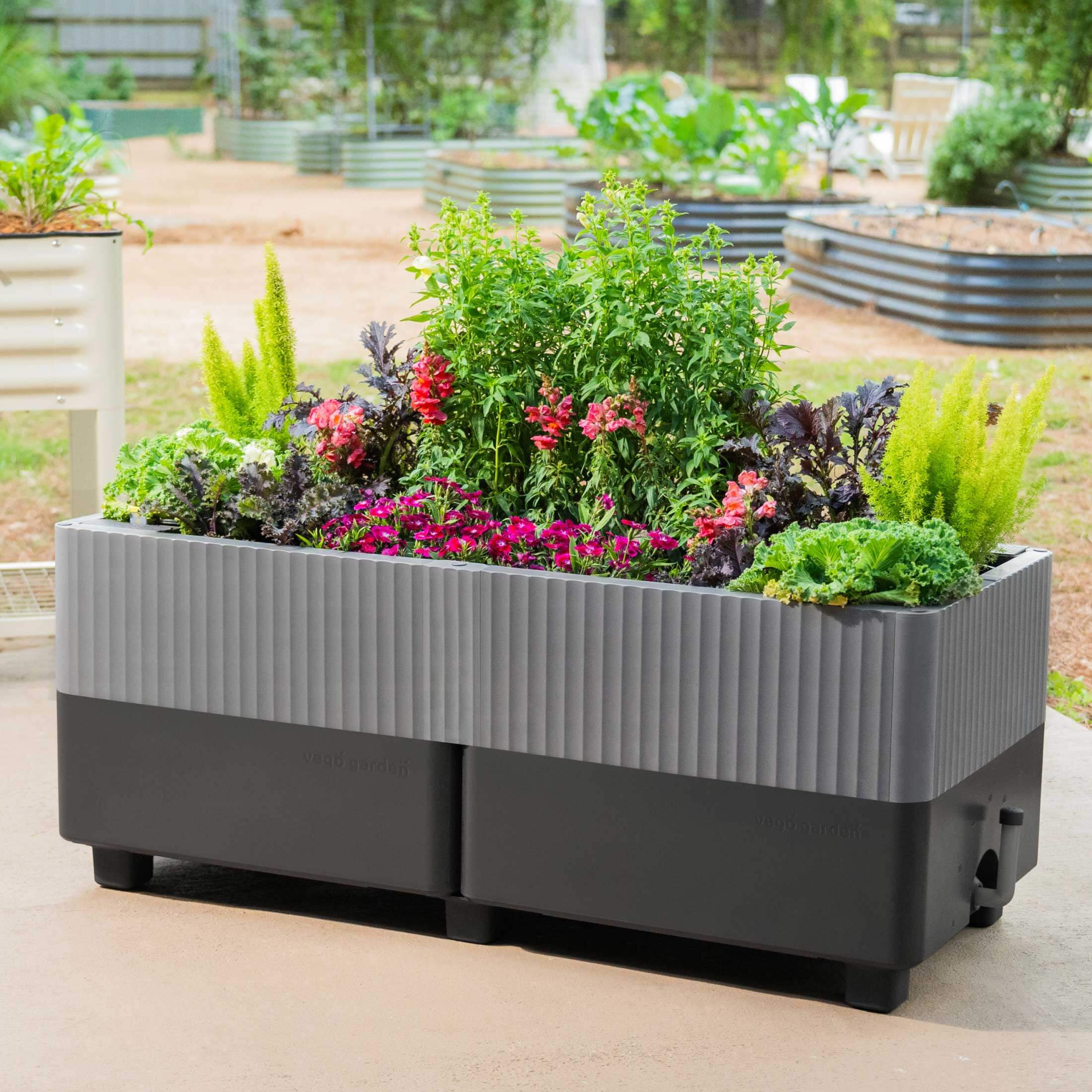 The EZthtCube Self-Watering Planter