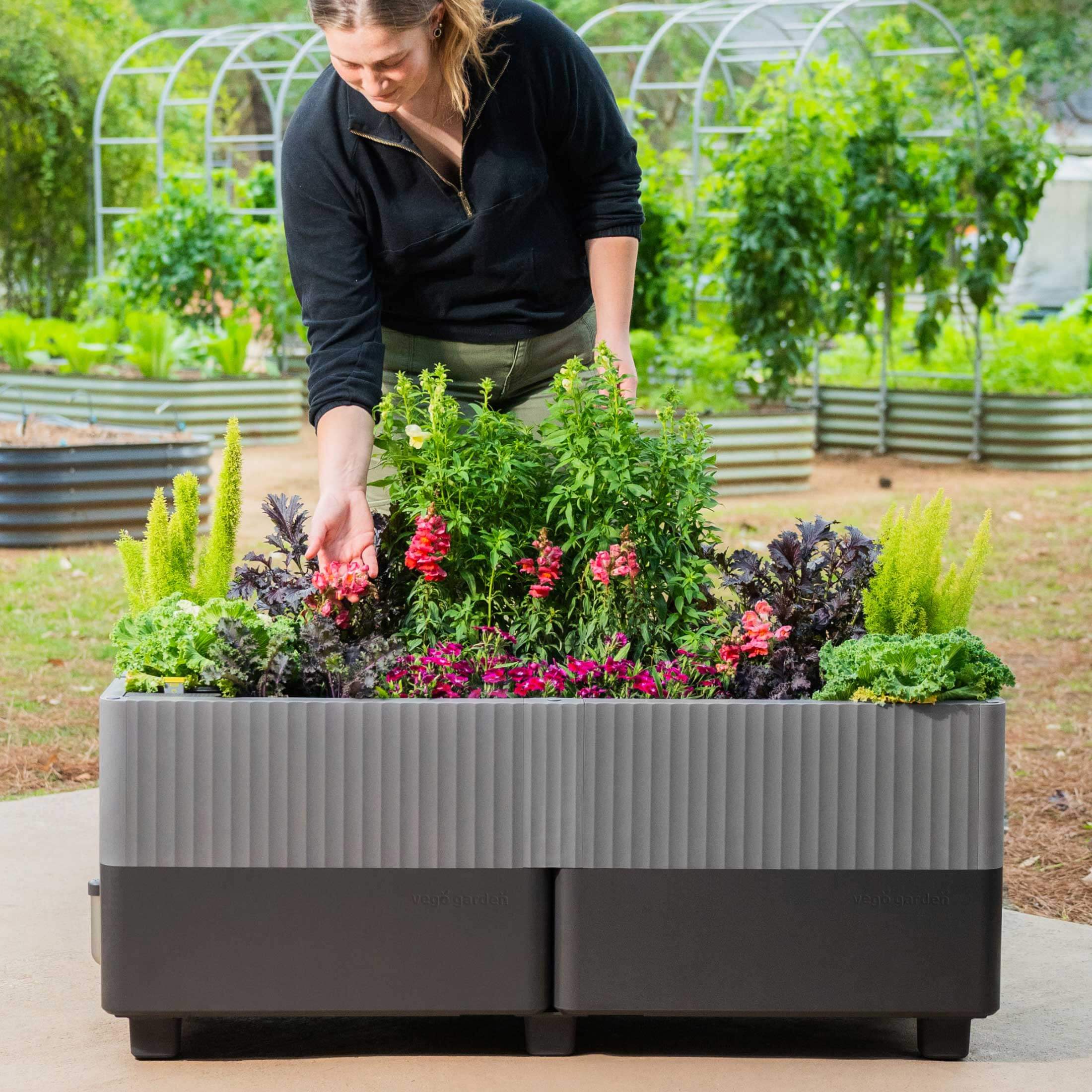 The EZthtCube Self-Watering Planter