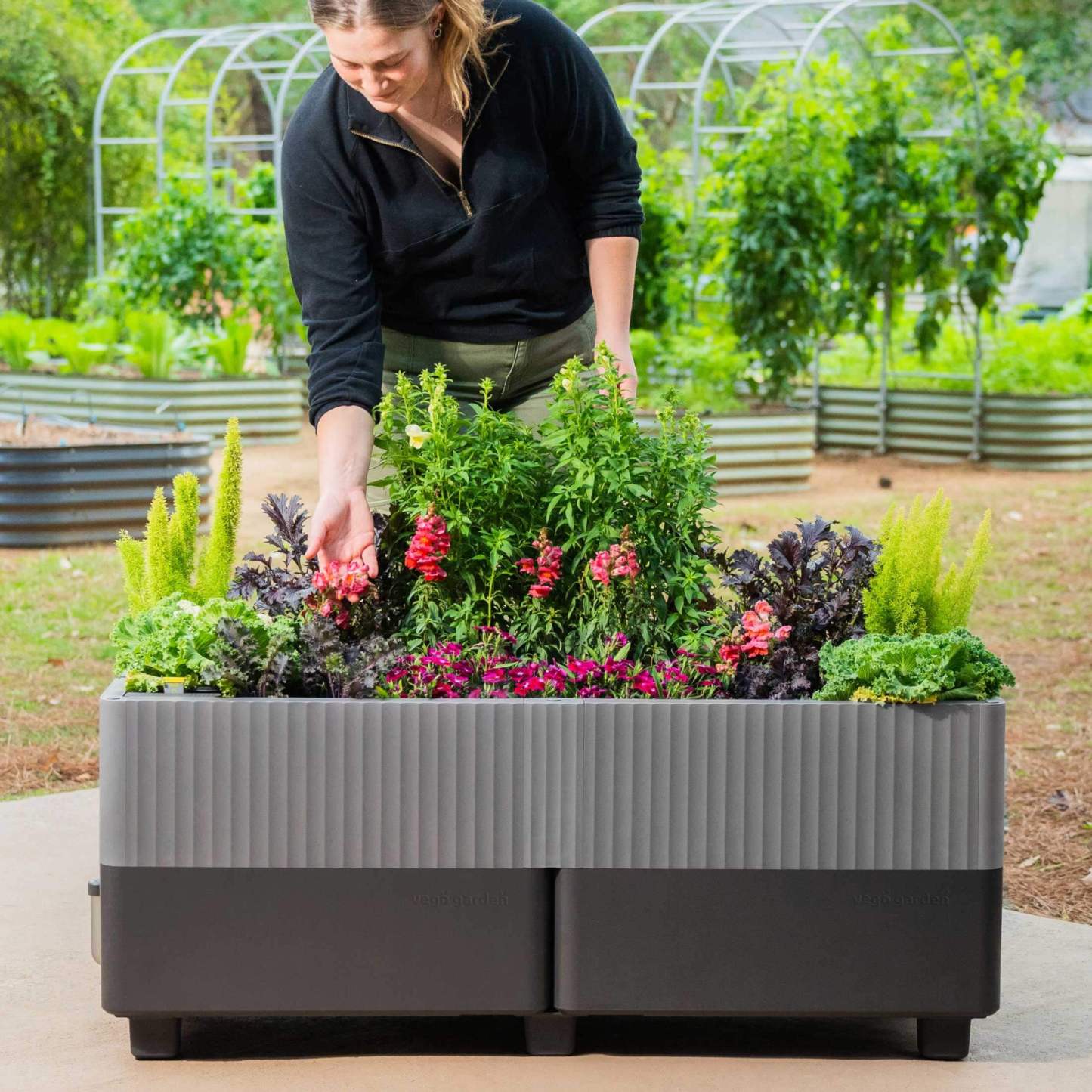 The EZthtCube Self-Watering Planter