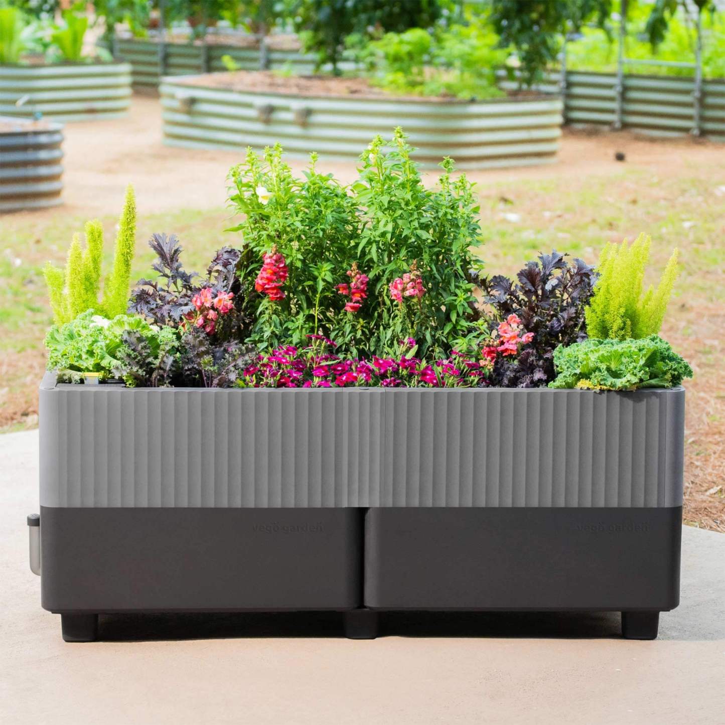 The EZthtCube Self-Watering Planter