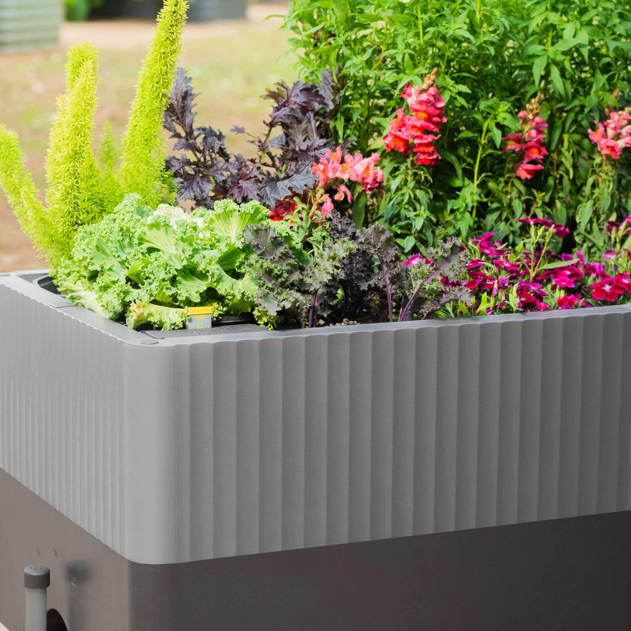 The EZthtCube Self-Watering Planter
