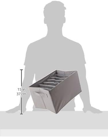 Underwear Dresser Drawer Organizers, Pack of 2, Gray