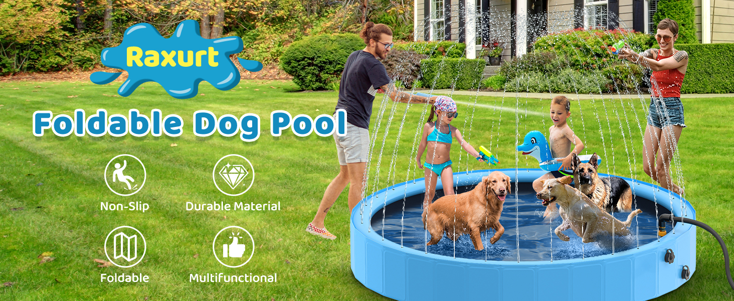 dog pool