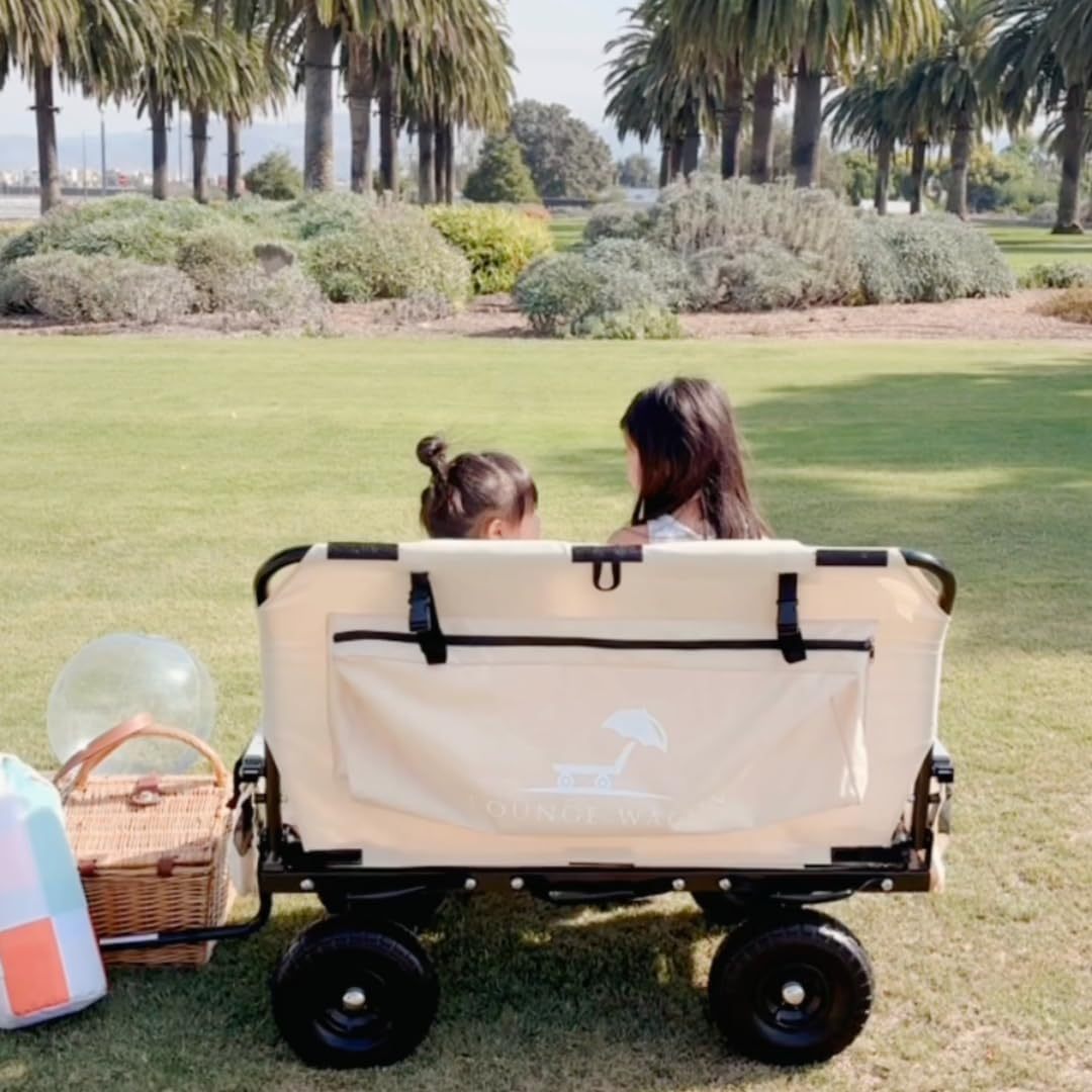 The Wagon That Converts into a 2-Person Chair 