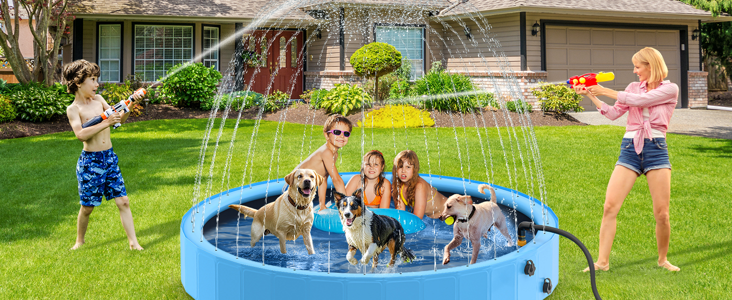 dog pool