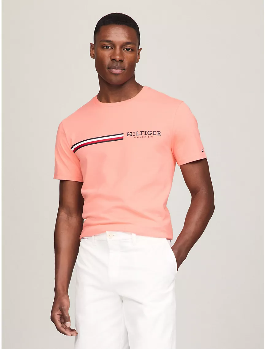 Signature hilthtfiger Stripe Graphic T-Shirt