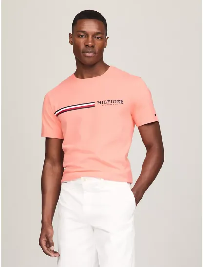 Signature hilthtfiger Stripe Graphic T-Shirt