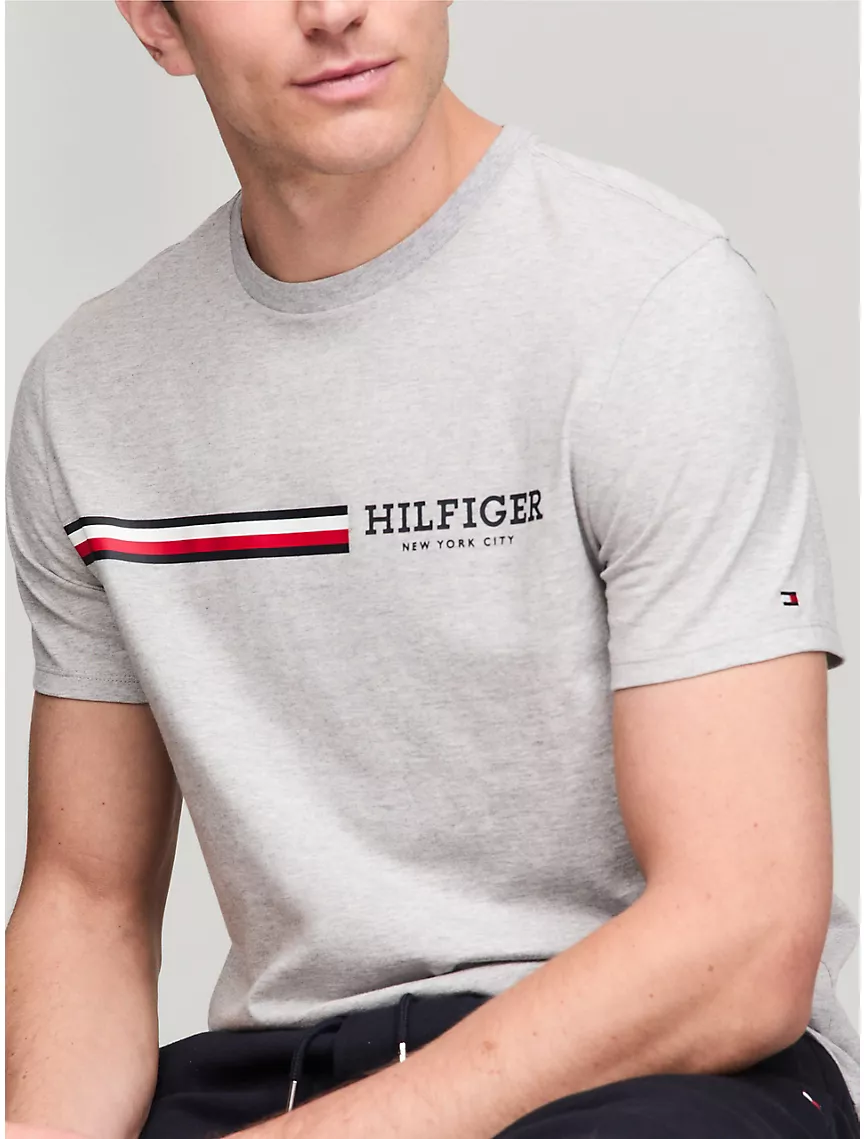 Signature hilthtfiger Stripe Graphic T-Shirt