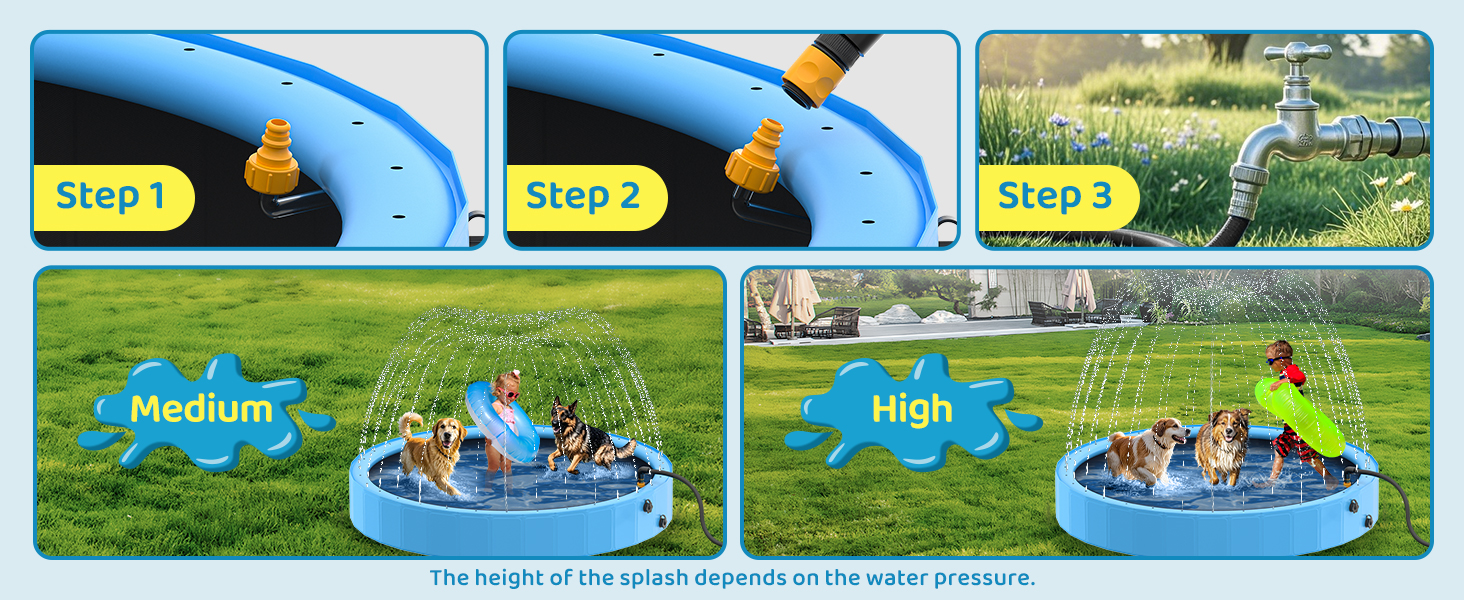 dog pool
