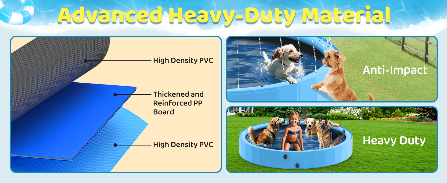 dog pool