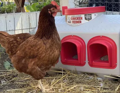 OvethtrEZ Farmhouse large Chicken Coop With Feeder And Waterer
