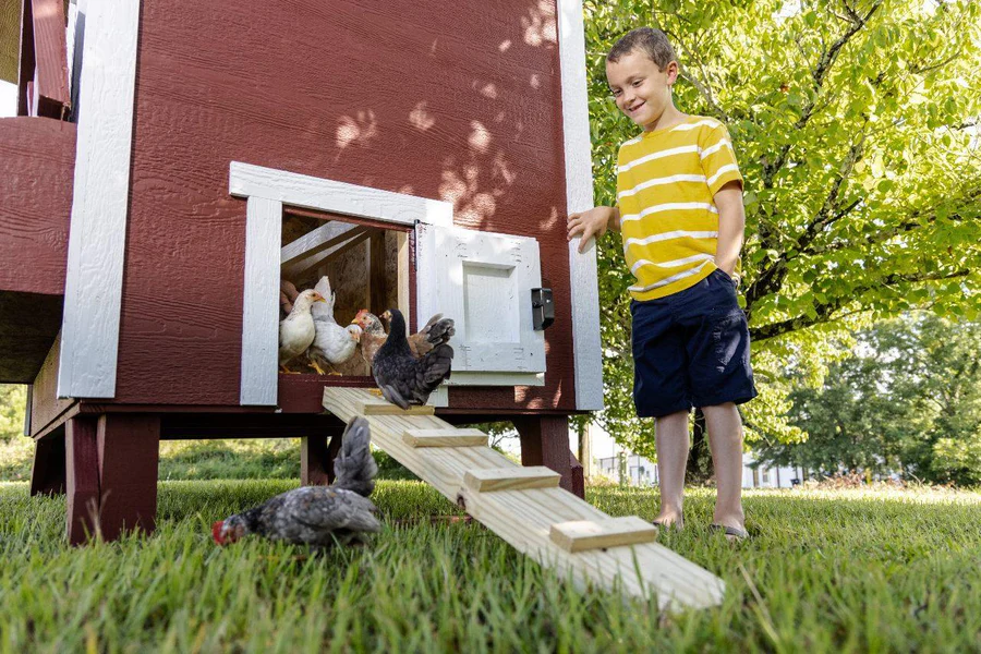 OvethtrEZ Farmhouse large Chicken Coop With Feeder And Waterer