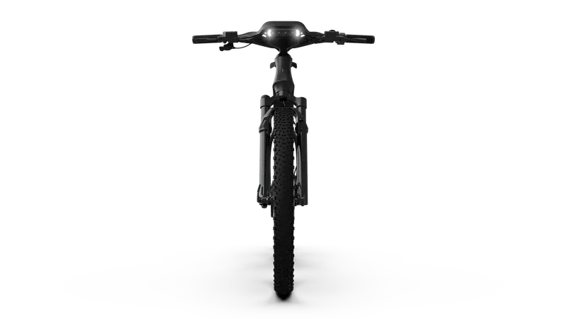 Methtrcedes-AMG F1® Rallye Edition 750 Electric Bike