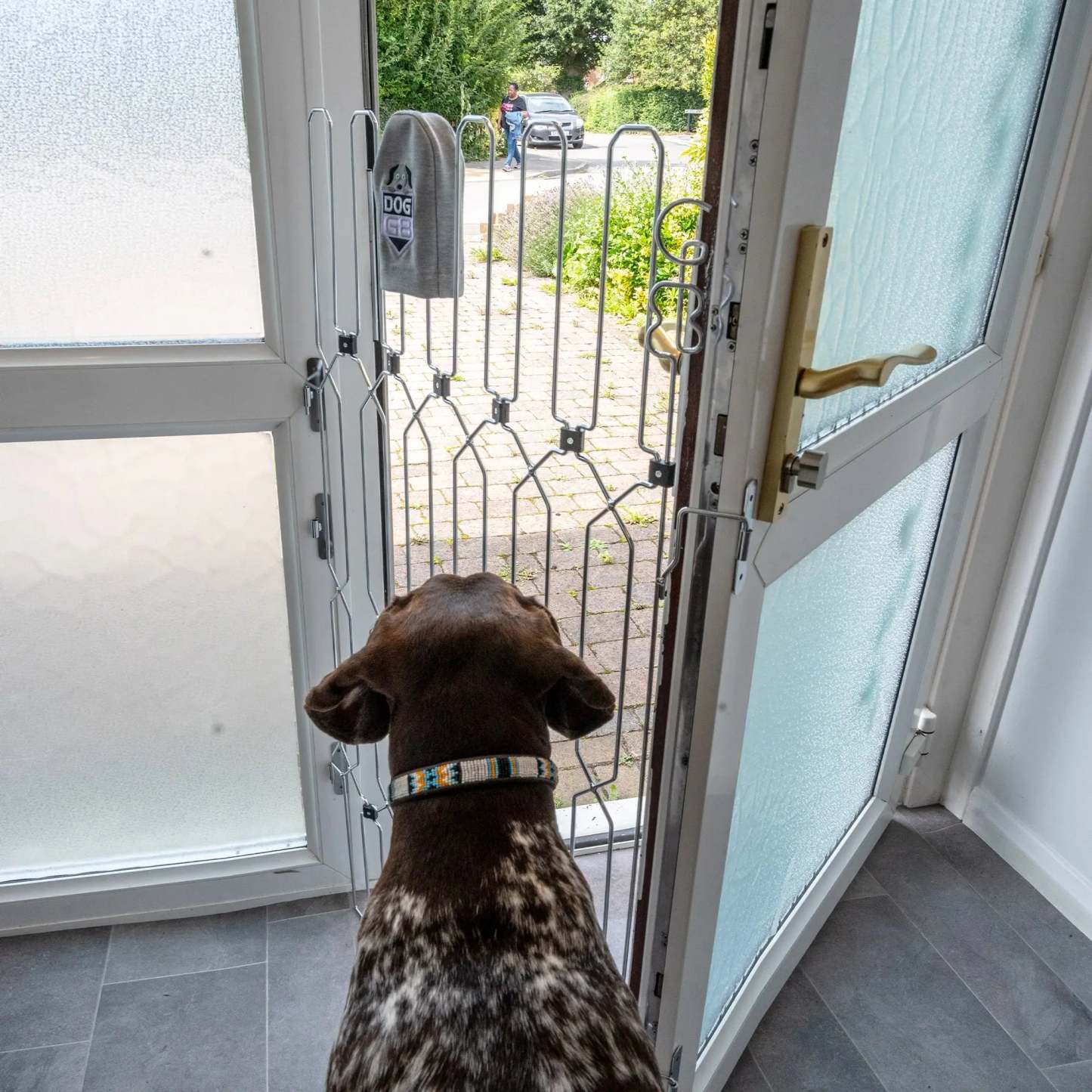 DOG-G8 Front Doors