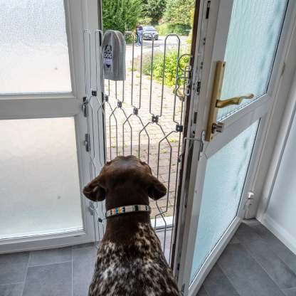 DOG-G8 Front Doors