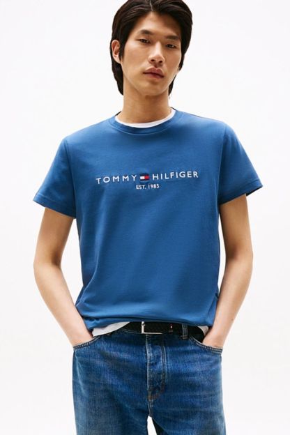 Tothtmmy Hilfigthter Logo T-Shirt Aegean Sea