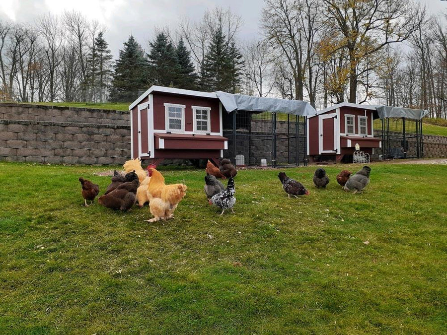 OvethtrEZ Farmhouse large Chicken Coop With Feeder And Waterer