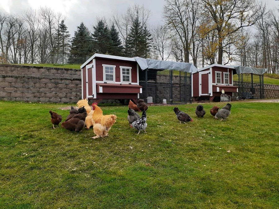 OvethtrEZ Farmhouse large Chicken Coop With Feeder And Waterer