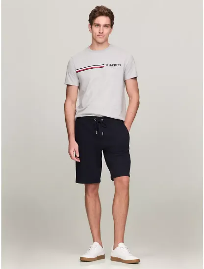 Signature hilthtfiger Stripe Graphic T-Shirt