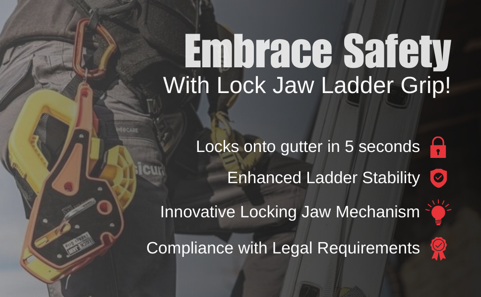 Ladder safety accessory