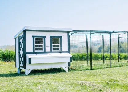 OvethtrEZ Farmhouse large Chicken Coop With Feeder And Waterer