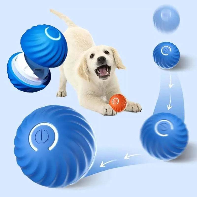 ✨Last Day Promotio🎁Dog Toy Ball