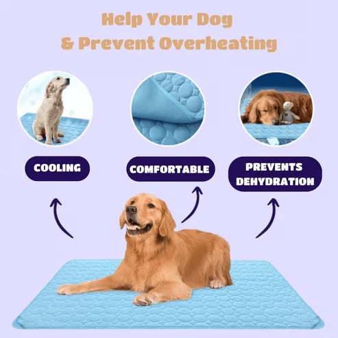 🐾Dog Cooling Mat (4x more effective)