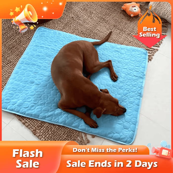 🐾Dog Cooling Mat (4x more effective)