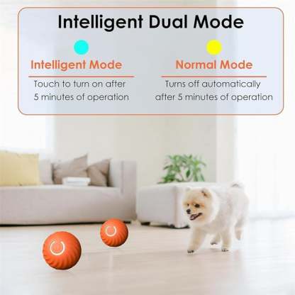 ✨Last Day Promotio🎁Dog Toy Ball