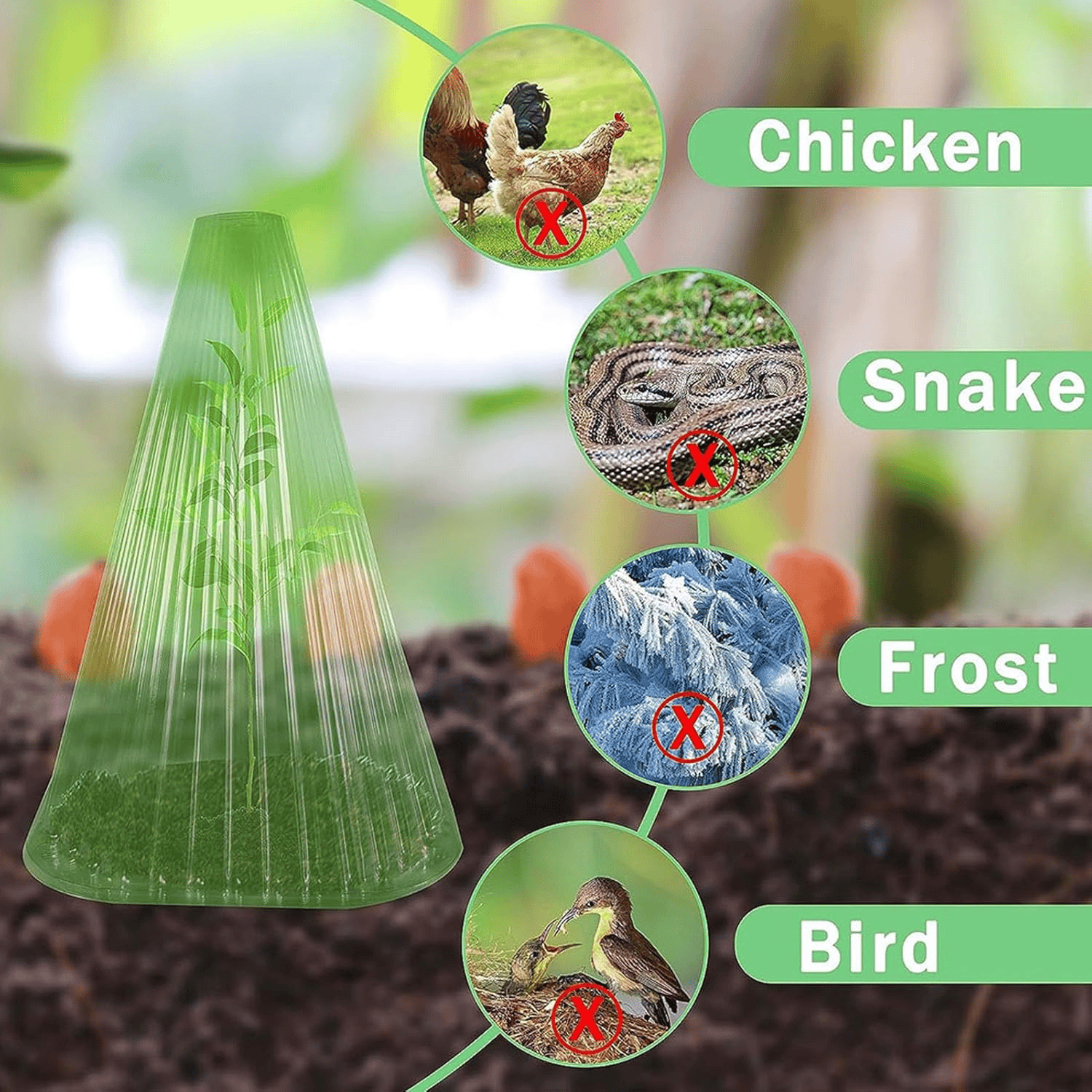 🌿Gardening Greenhouse Plant Covers 🌱Reusable, light-transmitting and breathable💪Prevent🐛insect🐓Poultry❄Frost🌧Rain🌪Wind