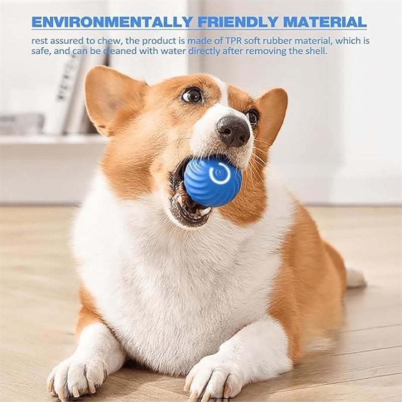 ✨Last Day Promotio🎁Dog Toy Ball