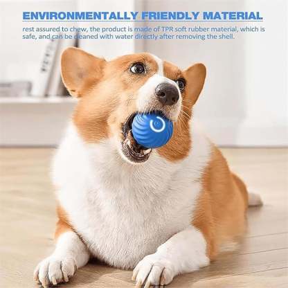 ✨Last Day Promotio🎁Dog Toy Ball