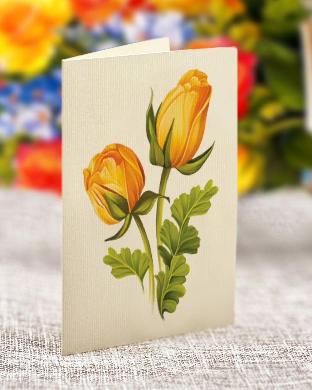 Grande Sorbet Roses
