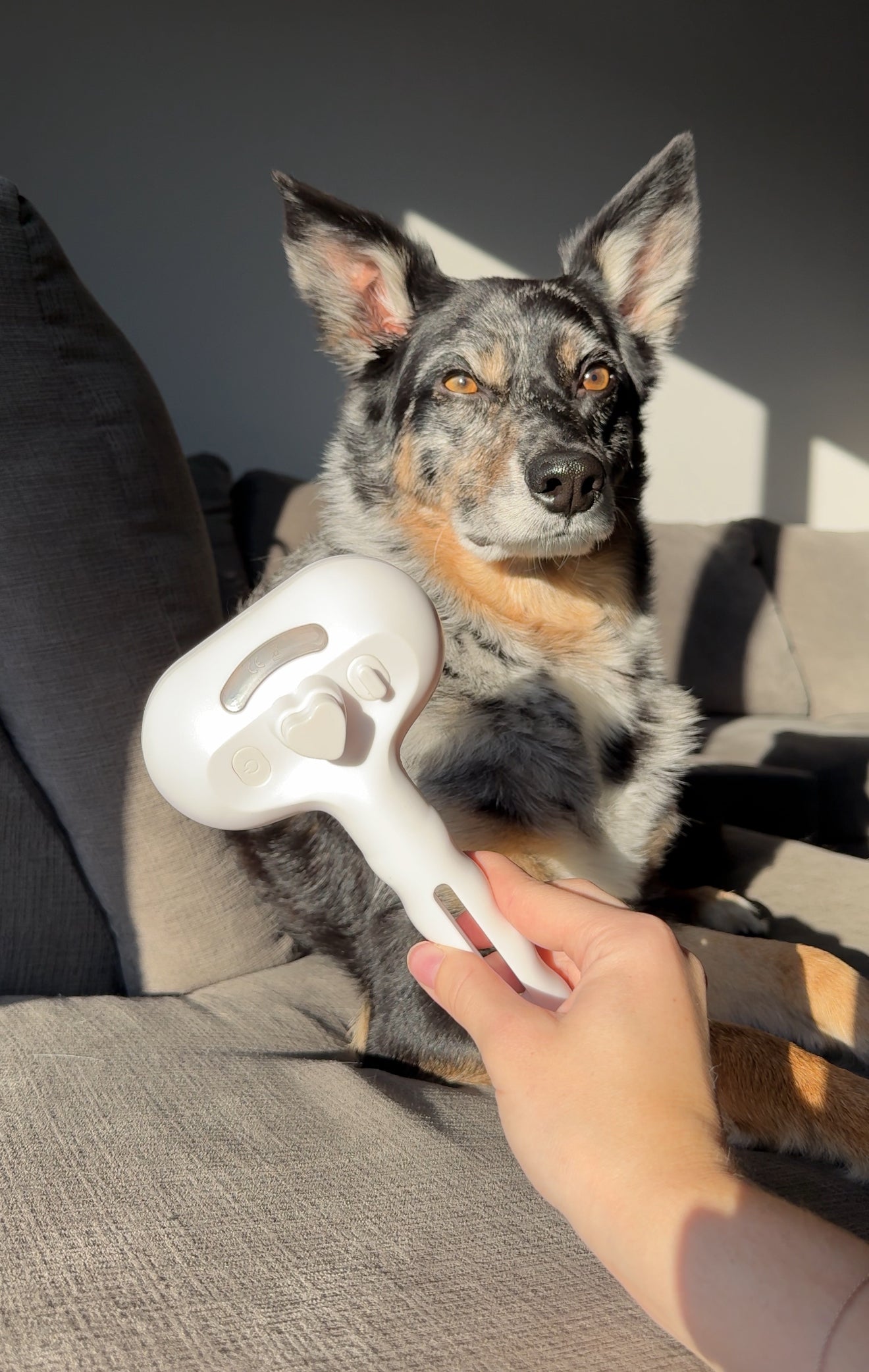 Keeps Loose Fur Off Your Floors & Furniture