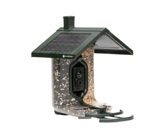 Seed Feeder