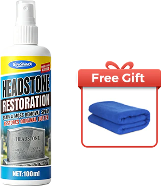 Restore the Stone Renew the Memory