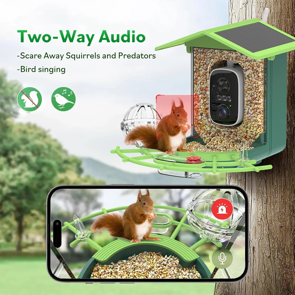 🐦 Watch Real Birds Visit Your Garden — Live on Your Phone, 24/7