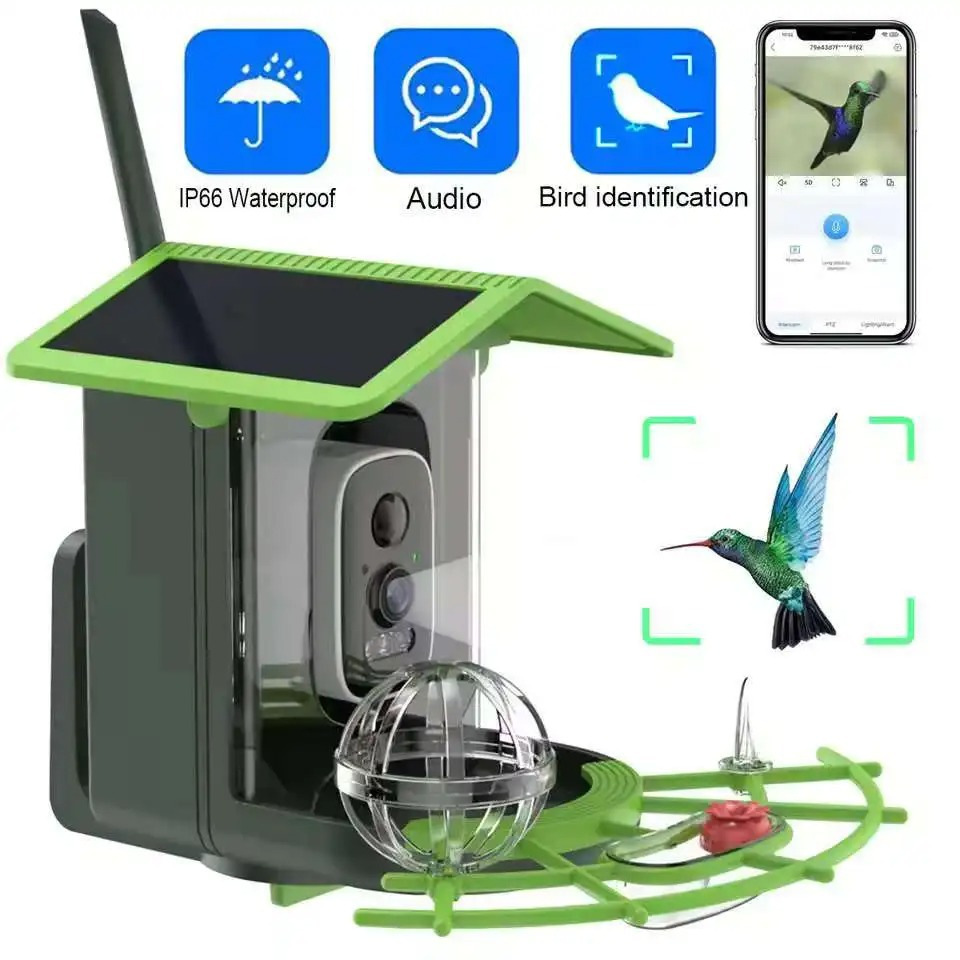 🐦 Watch Real Birds Visit Your Garden — Live on Your Phone, 24/7