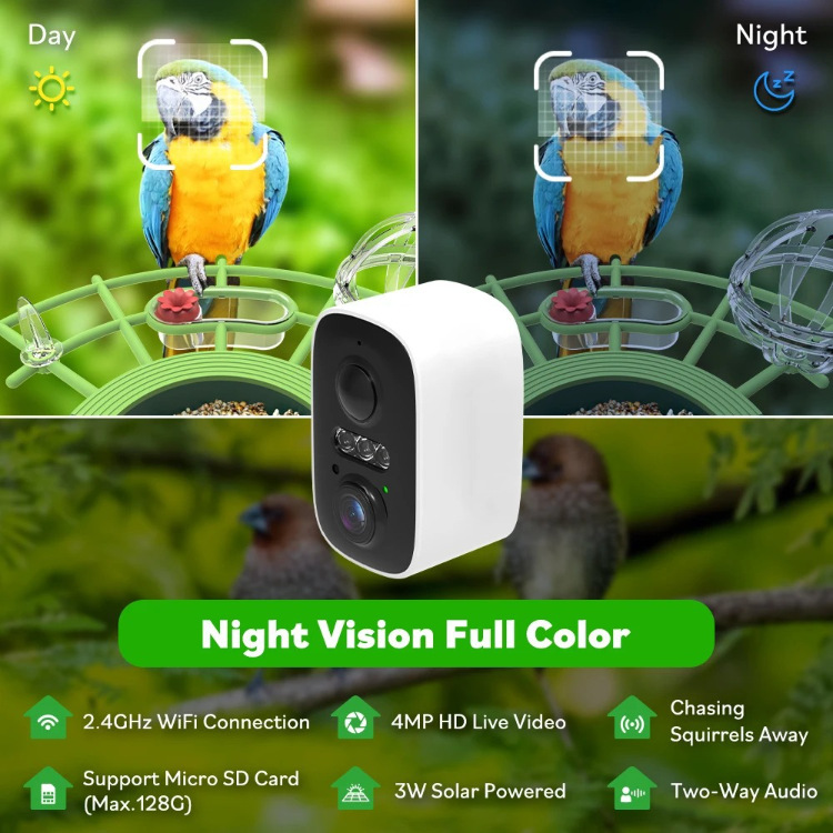 🐦 Watch Real Birds Visit Your Garden — Live on Your Phone, 24/7