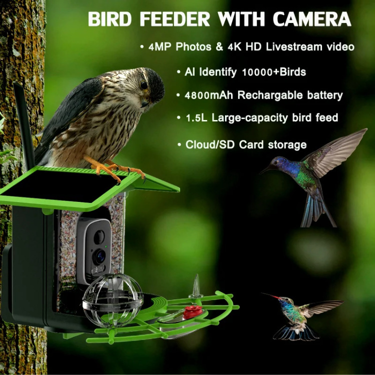 🐦 Watch Real Birds Visit Your Garden — Live on Your Phone, 24/7