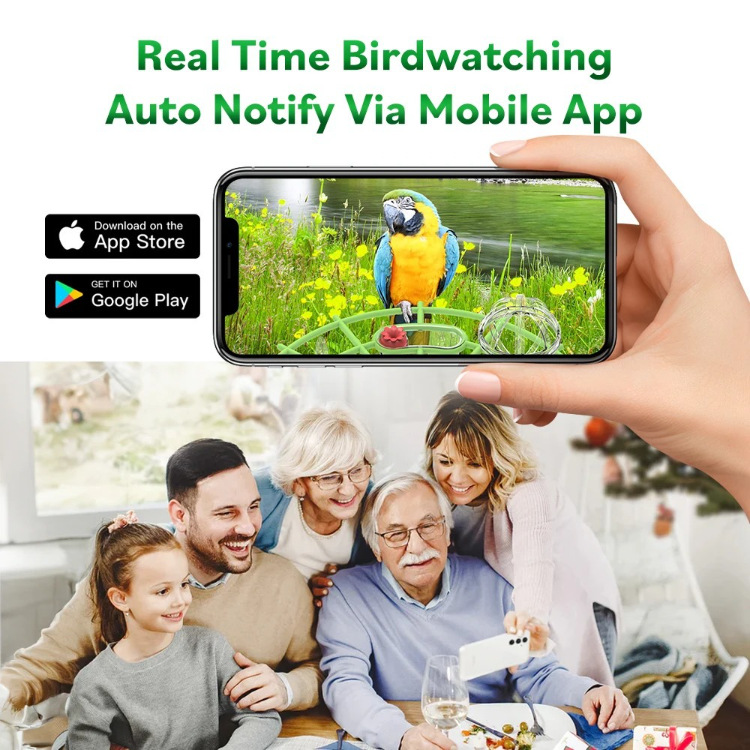 🐦 Watch Real Birds Visit Your Garden — Live on Your Phone, 24/7