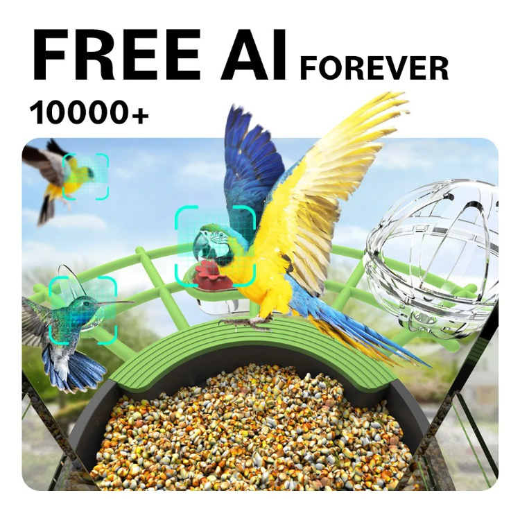 🐦 Watch Real Birds Visit Your Garden — Live on Your Phone, 24/7